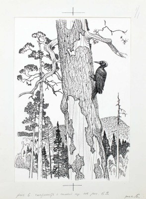 Кузнецов Леонид Трофимович. Макет из 27 иллюстраций и книга К.Д. Ушинского «Рассказы и сказки» (М.: Дет. лит., 1975)